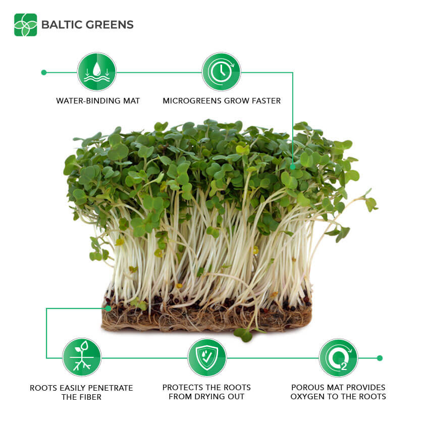 Flax fiber growing mat benefits: water-binding, microgreens grow faster, roots easily penetrate the fiber, protects the roots from drying out, porous mat provides oxygen to the roots